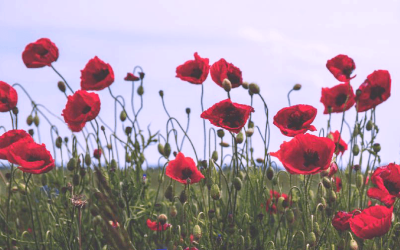 Anzac Day