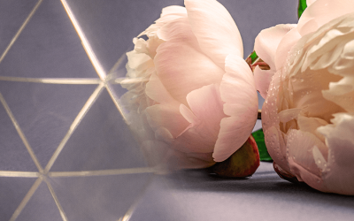 The Year of Creative Contentment