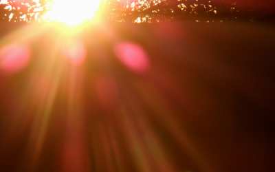 Lifting Vibration from Fear to Love