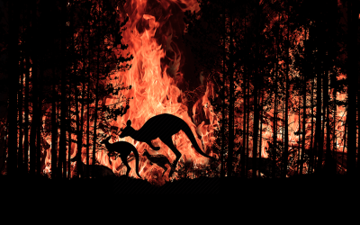 Australian Bushfires, what can Spiritual People Do?