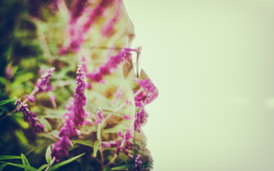 Podcast: Developing Your Creative Mind