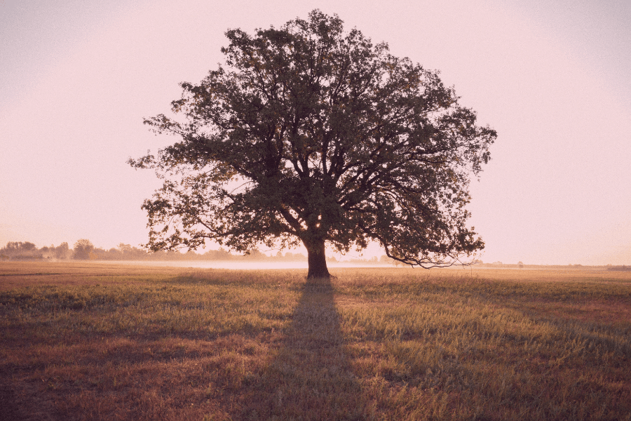 Podcast: Getting Grounded