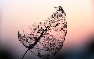 Podcast: The Power to Overcome Adversity