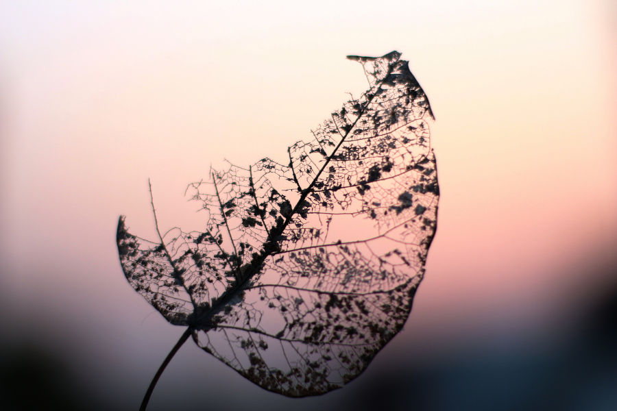 Podcast: The Power to Overcome Adversity
