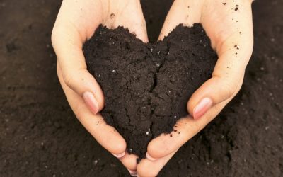 Sacred Activism For Earth Lovers