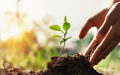Podcast: Sacred Activism for Earth Lovers