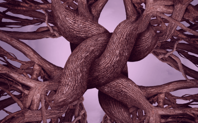 Podcast: When You Want To Leave Your Spiritual School
