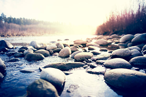 Podcast: Flowing Around Obstacles