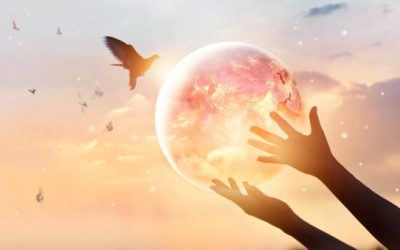 Podcast: Life Of A Mystic