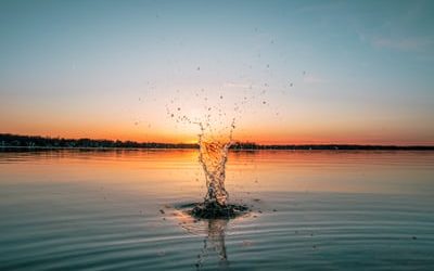Podcast: The Alchemical Stages of Transformation