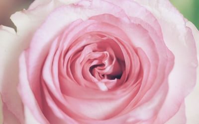 Podcast: The Divine Mother