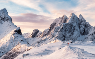 Climbing the Mountains of Consciousness