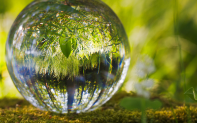 Podcast: Abundance in strange and unpredictable times