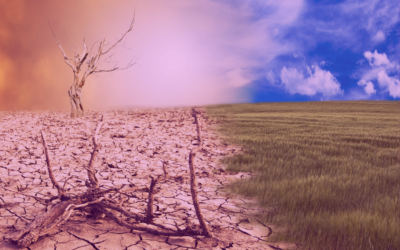 Podcast: Dealing with Change