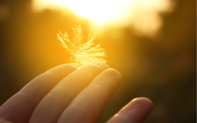 Podcast: How to get your Ego back on track