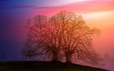 Podcast: Isolation, Solitude, and Connection