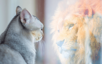 Podcast: Self Esteem from the View of a Mystic