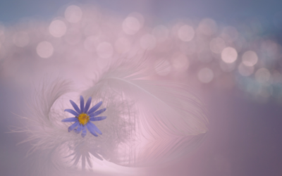 Podcast: Sensitivity