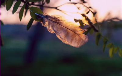 Podcast: There is Always Hope