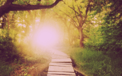 Podcast: Do You Ever Feel Like You’re Going Backwards On Your Spiritual Path?