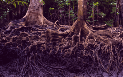 Podcast: Help For Nervousness