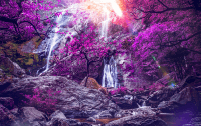 Podcast: Power of Consciousness
