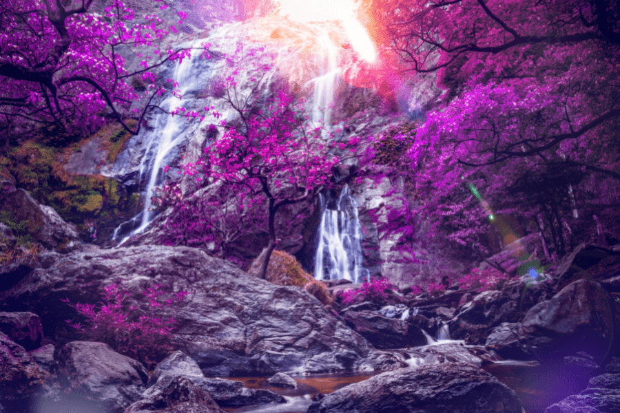 Podcast: Power of Consciousness