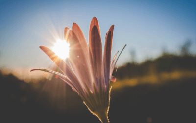 Podcast: The Power to Maintain