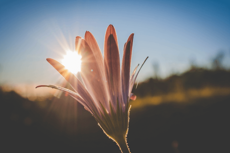 Podcast: The Power to Maintain