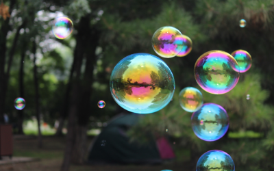 Podcast: We All Live in Bubbles