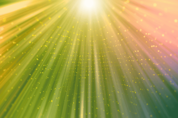 Podcast: The Higher Realms
